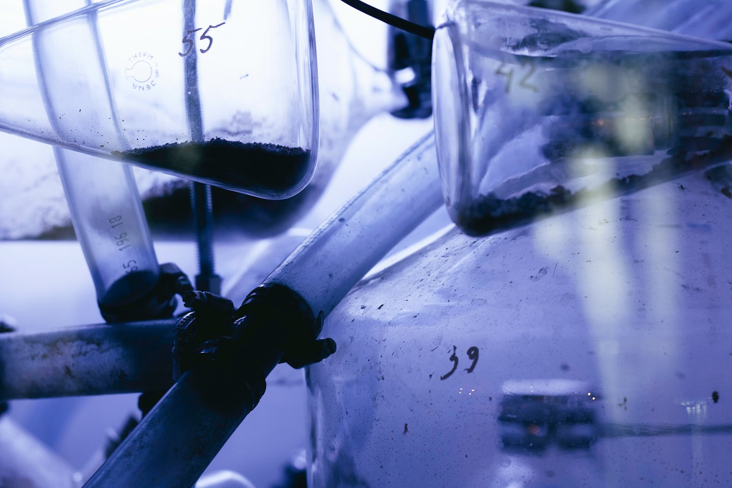 Glass beakers and flasks with tubing in a lab.